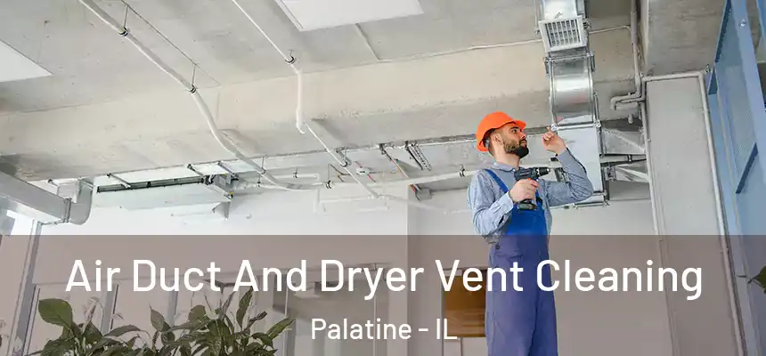  Air Duct And Dryer Vent Cleaning Palatine - IL