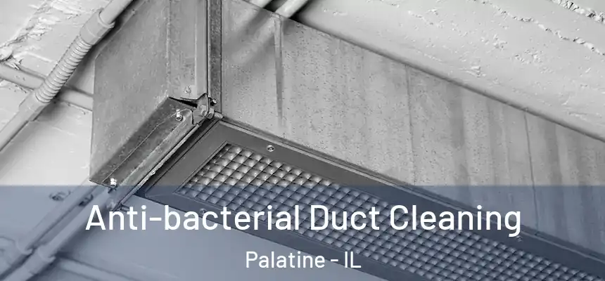 Anti-bacterial Duct Cleaning Palatine - IL