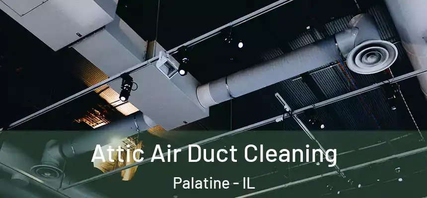  Attic Air Duct Cleaning Palatine - IL