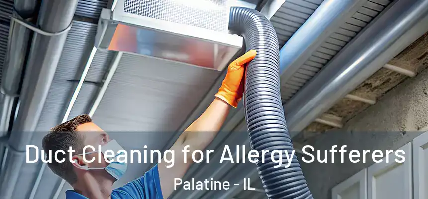  Duct Cleaning for Allergy Sufferers Palatine - IL