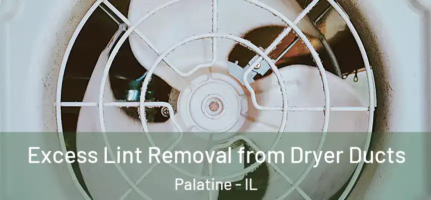  Excess Lint Removal from Dryer Ducts Palatine - IL