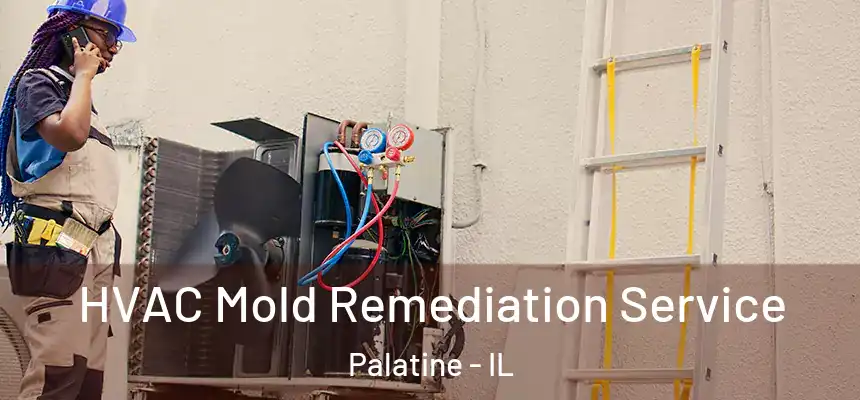  HVAC Mold Remediation Service Palatine - IL