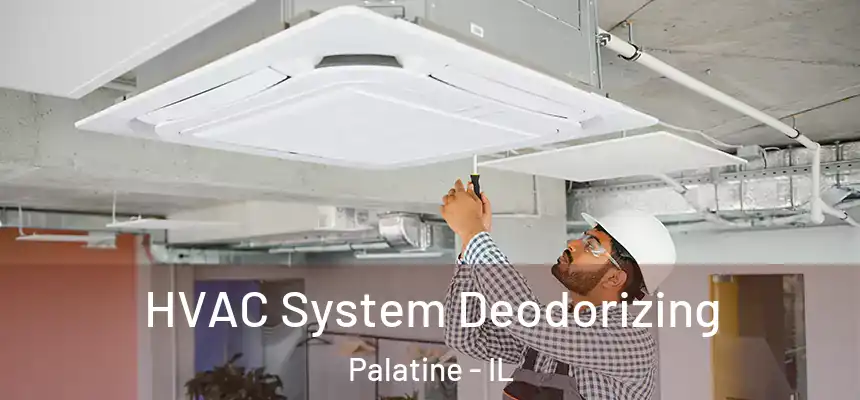  HVAC System Deodorizing Palatine - IL