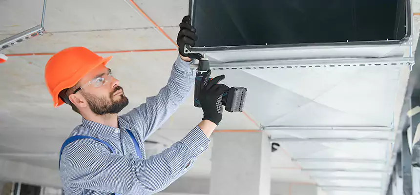 Roof Cap & Exterior Hood Lint Buildup Removal – Palatine