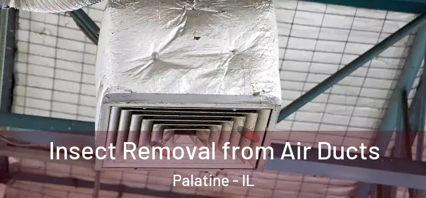  Insect Removal from Air Ducts Palatine - IL