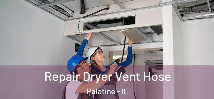  Repair Dryer Vent Hose Palatine - IL