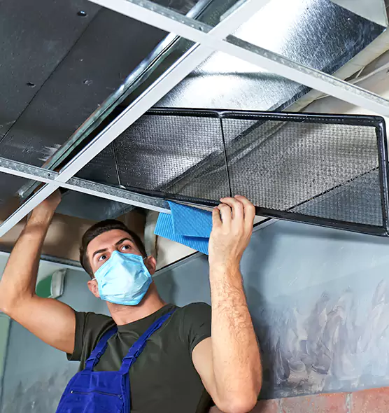 Professional Air Duct Pollen Cleaning in Palatine, IL
