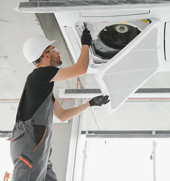 About Air Duct Rodent Removal in Palatine, IL