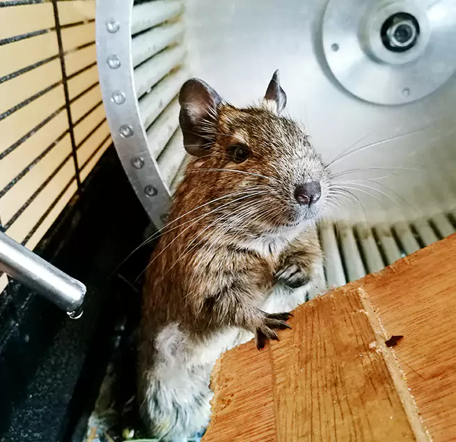 Why Homeowners & Businesses Trust Us Palatine, IL?