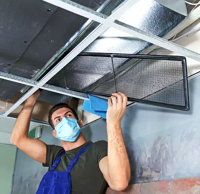 Why Homeowners Businesses Trust Us in Palatine, IL