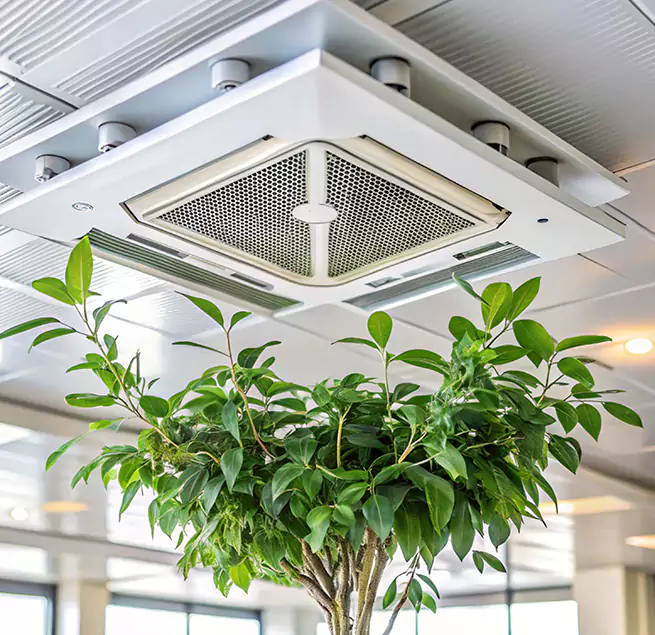 Why Homeowners & Businesses Trust Us in Palatine, IL