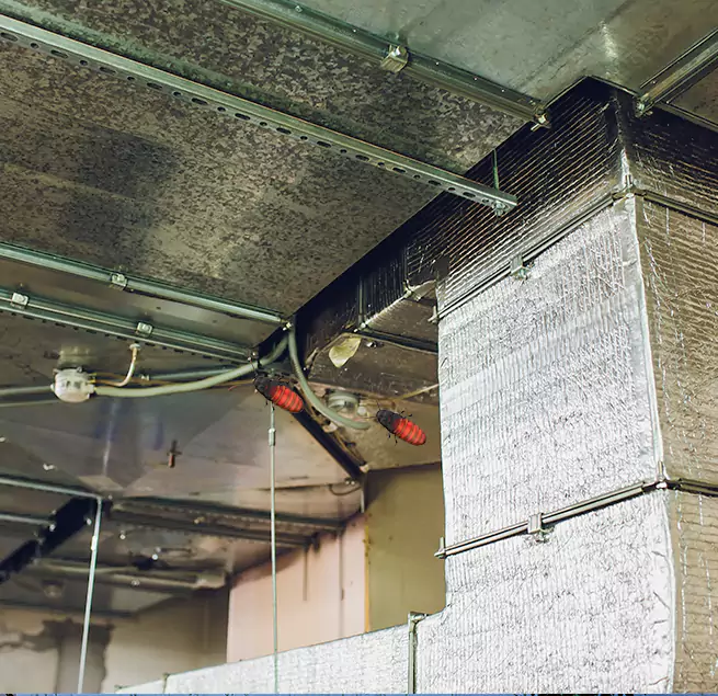 Why Homeowners & Businesses Trust Us Palatine, IL?