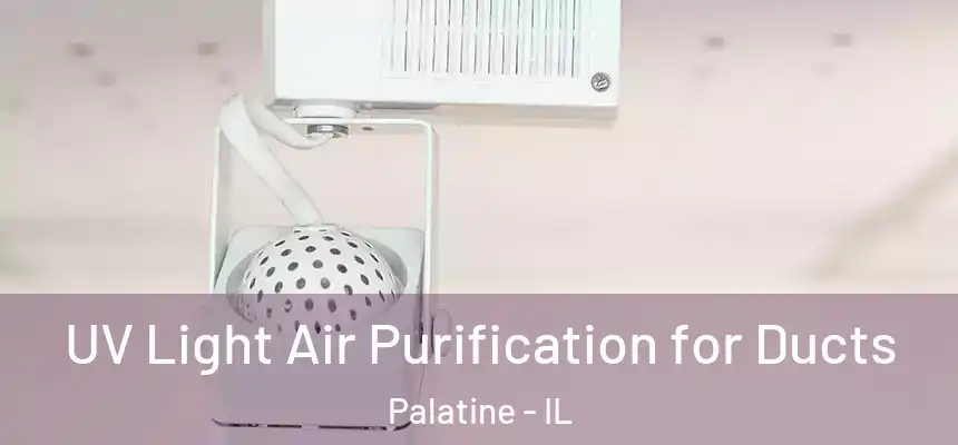  UV Light Air Purification for Ducts Palatine - IL
