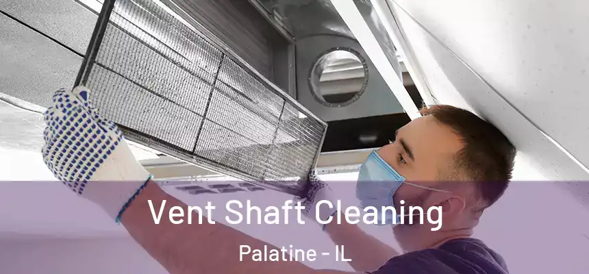  Vent Shaft Cleaning Palatine - IL
